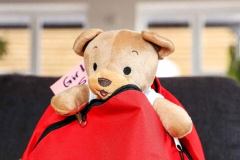 Buddy Bear in a rucksack